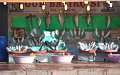 9902 a_DSC_0036